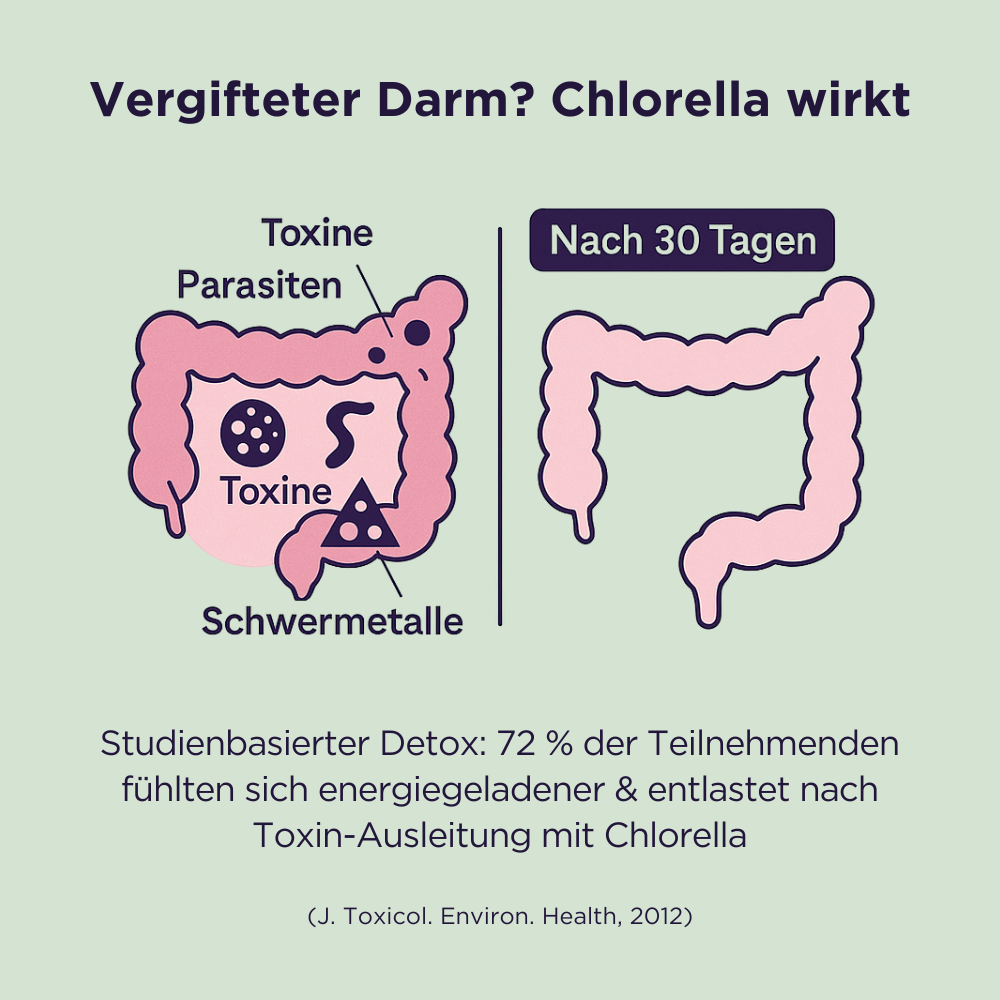 Alimora - Chlorella