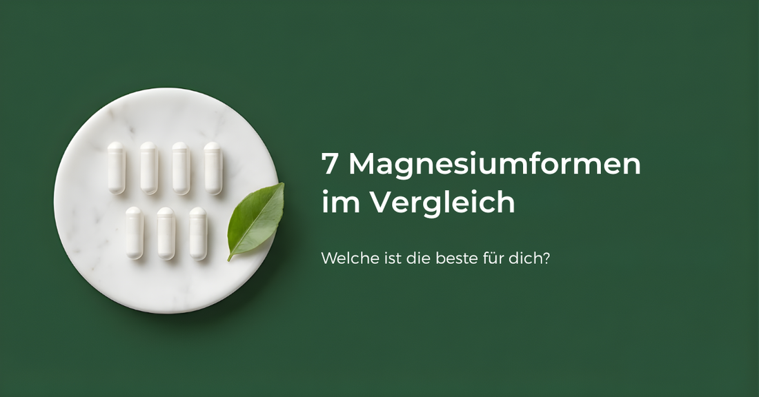 Welches Magnesium ist das beste? Alle 7 Formen im Vergleich (2026)
