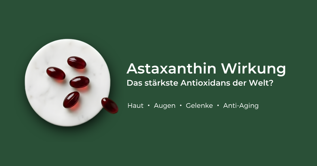 Astaxanthin Wirkung: Das stärkste Antioxidans der Welt?