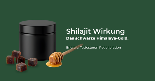Shilajit Wirkung: +20% Testosteron in 90 Tagen – was ist dran?